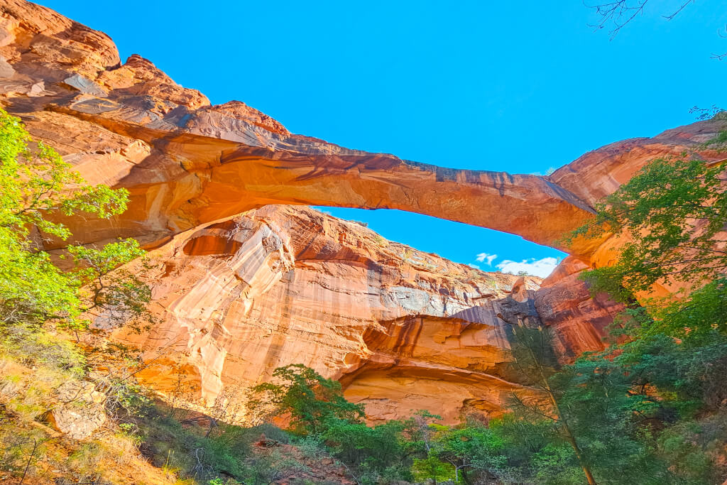 メイ： How can l use the (torque app) in spark ev.. Does anyone have